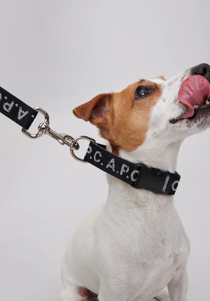 Toutou Logo leash - Image 2