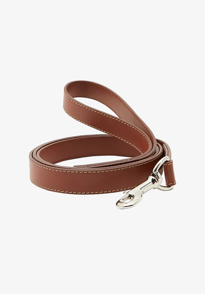 Toutou leather leash