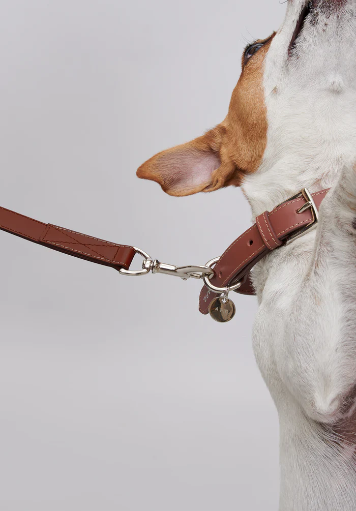 Toutou leather leash - Image 2