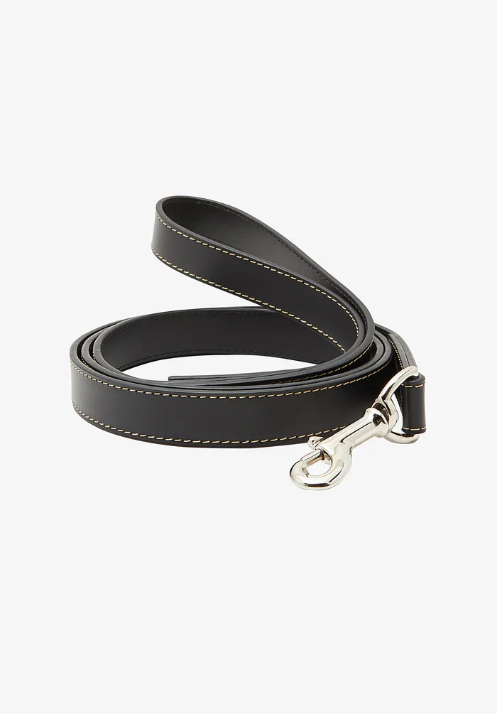 Toutou leather leash