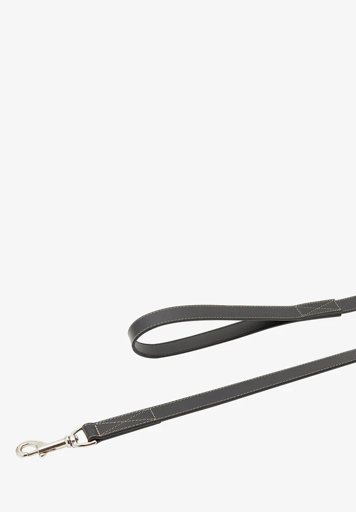 Toutou leather leash - Image 3